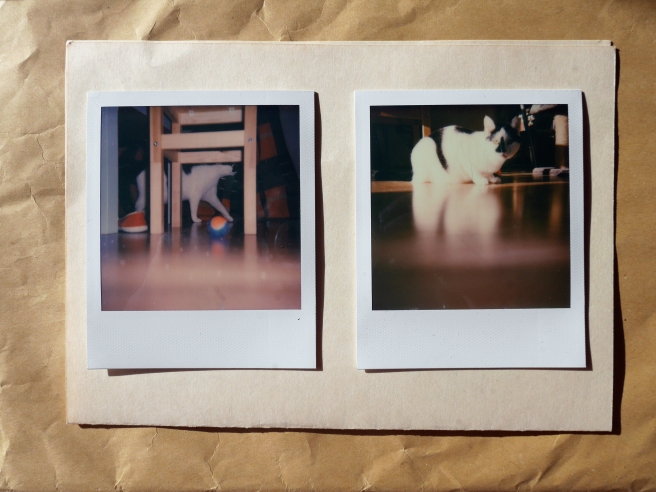 Zwei Impossible/Polaroid-Fotografien