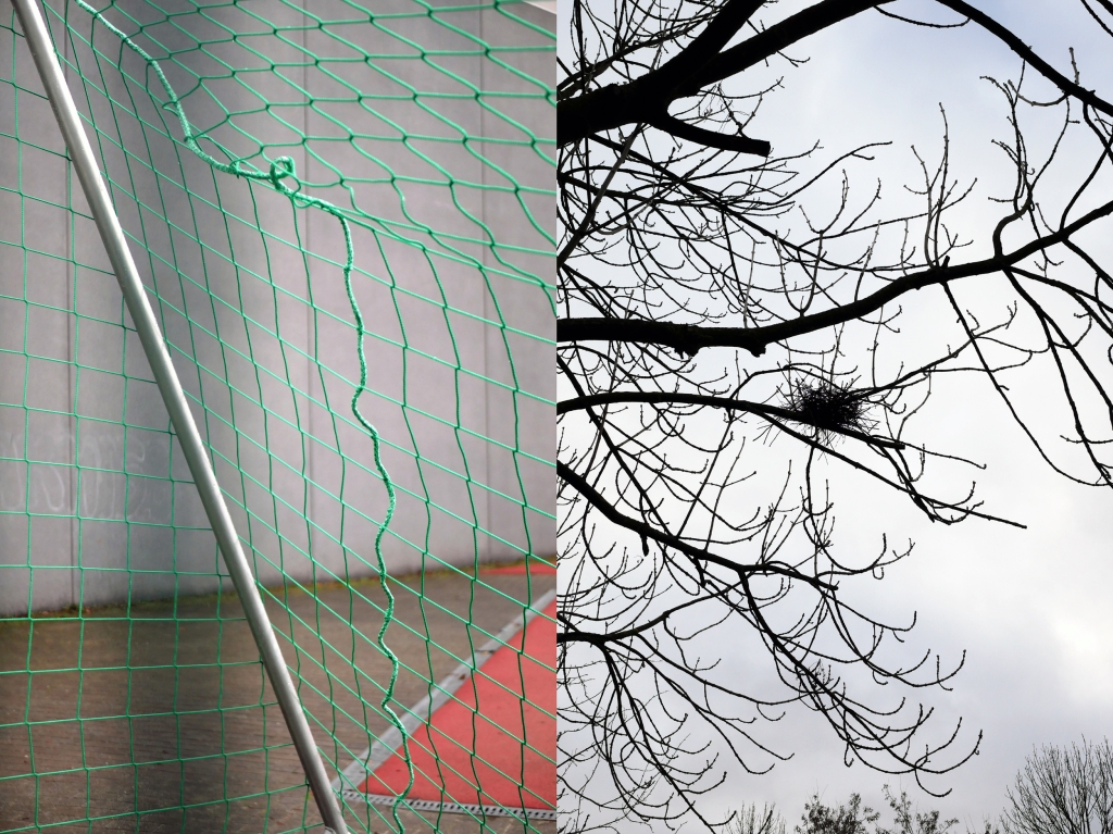Bildpaar

rechts: Netz eines Fußballtores in der Auguststraße in Berlin-Mitte / links: kahler Baum mit Vogelnest in Berlin-Hohenschönhausen